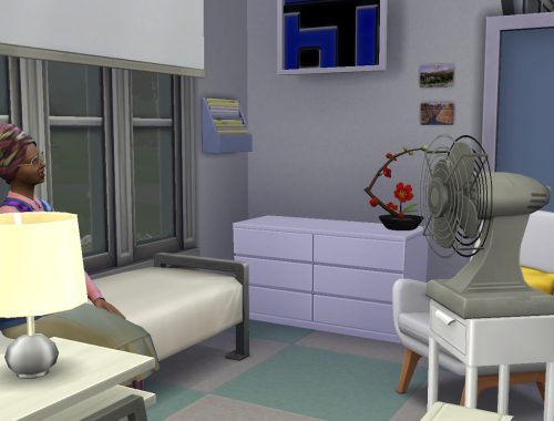 Nursing (retirement) home