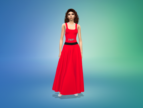 The Long Elegant Designers Party Dress