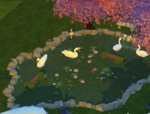 Campsite with a pond