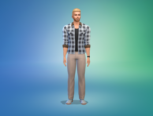 David Grayson Free Sim Download