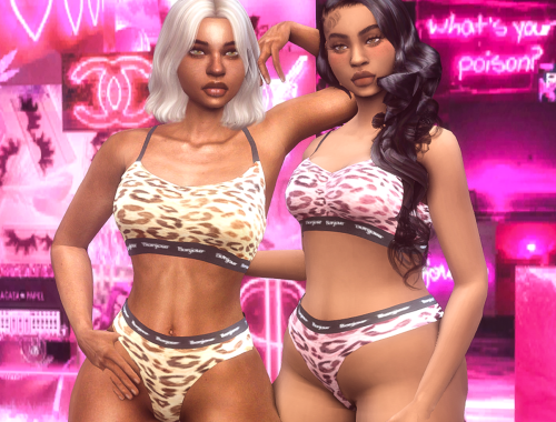 Leopard Bra & Thong Set