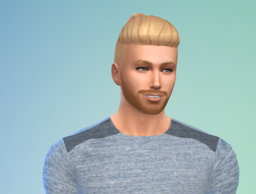 David Grayson Free Sim Download