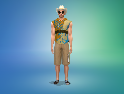 David Grayson Free Sim Download
