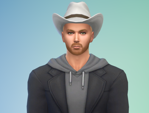 David Grayson Free Sim Download