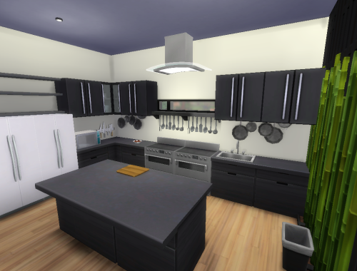 IS Modern House