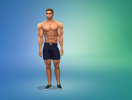 Soldier John Robbins Free Sim Download