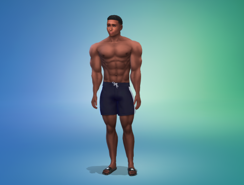 Soldier David Brooks Free Sim Download