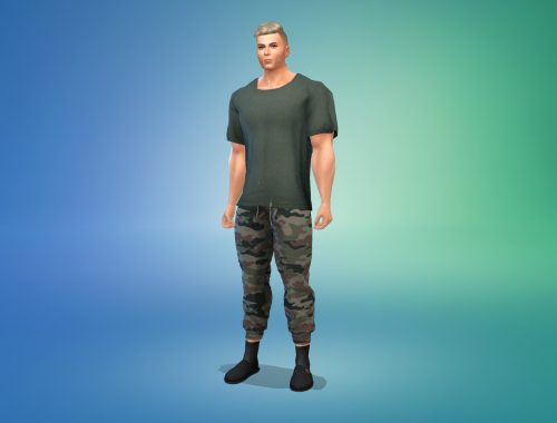 Soldier Craig Weston Free Sim Download