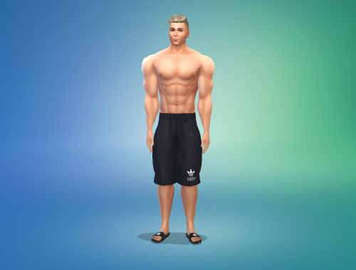 Soldier Craig Weston Free Sim Download