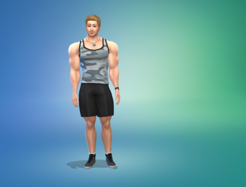 Soldier Andrew Merritt Free Sim Download