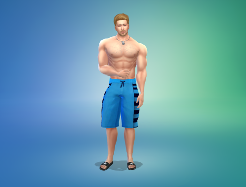 Soldier Andrew Merritt Free Sim Download