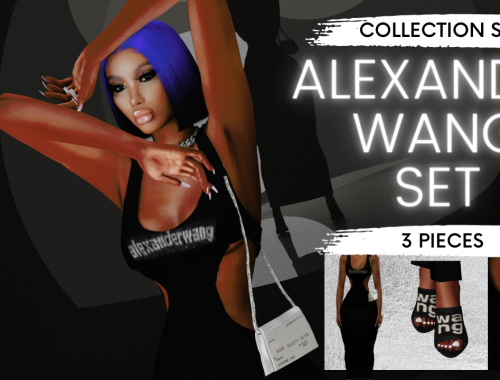 Alexander Wang Crystal Set