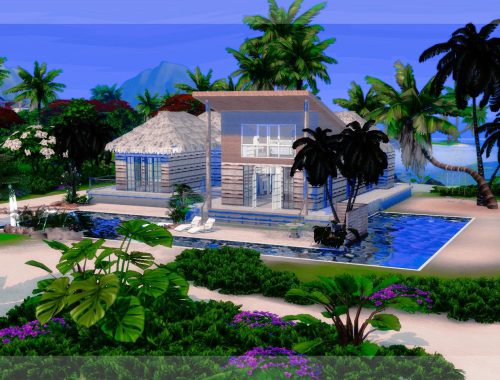 Tropen Luxury | CC