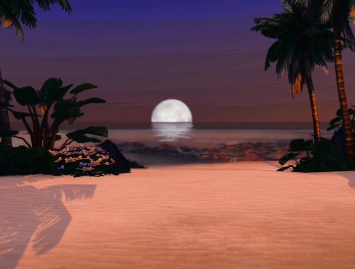 Underwater Beach Life | CC