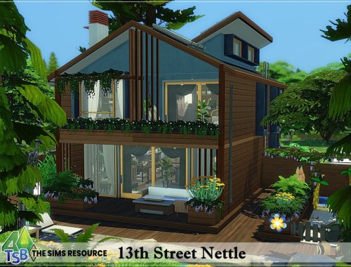 13th Street Nettle