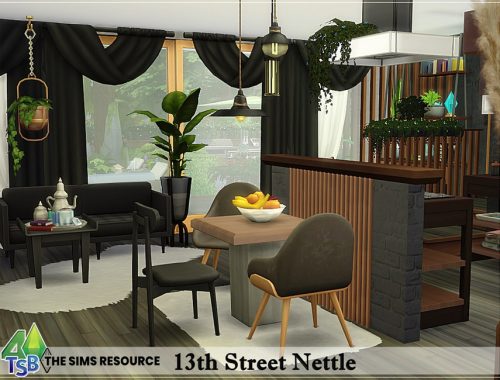 13th Street Nettle