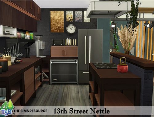 13th Street Nettle