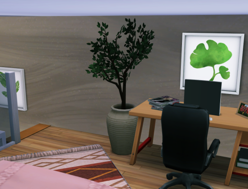 Tiny House 001