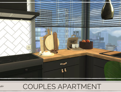 COUPLES APARTMENT