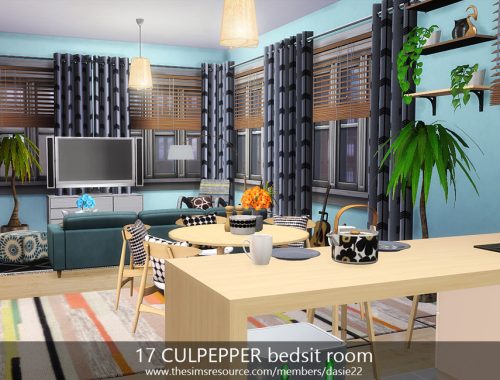 17 CULPEPPER bedsit room