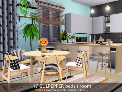 17 CULPEPPER bedsit room