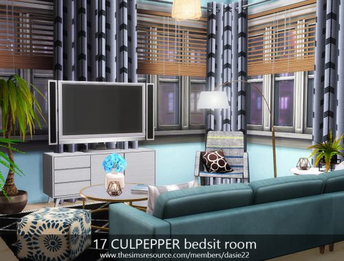 17 CULPEPPER bedsit room