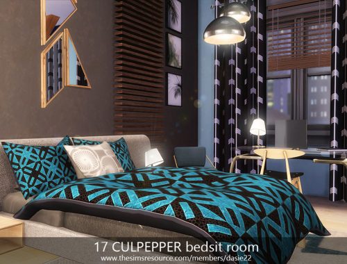 17 CULPEPPER bedsit room