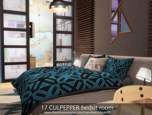 17 CULPEPPER bedsit room