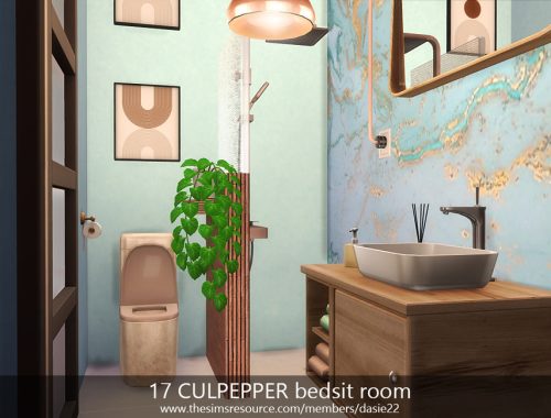 17 CULPEPPER bedsit room