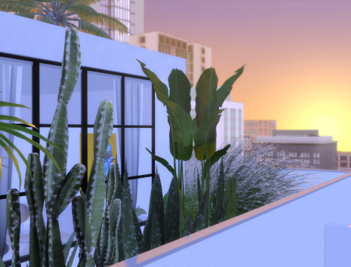 Tulum Loft