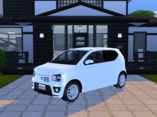 2015 Suzuki Alto at Modern Crafter CC