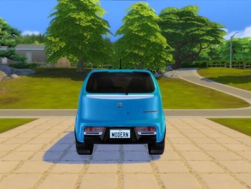 2015 Suzuki Alto at Modern Crafter CC