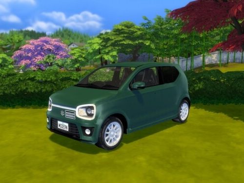 2015 Suzuki Alto at Modern Crafter CC
