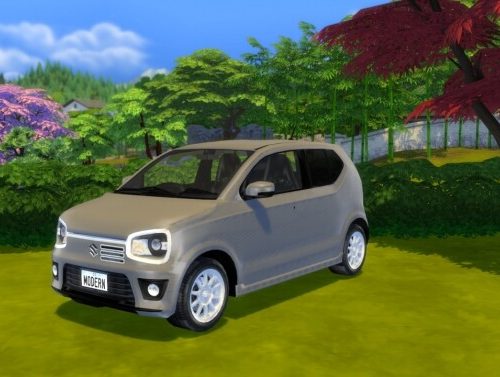 2015 Suzuki Alto at Modern Crafter CC