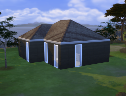 Modern House 1