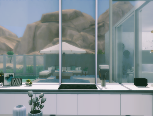 Palms Cube