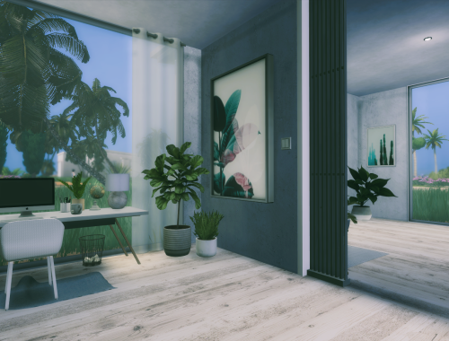 Palms Cube