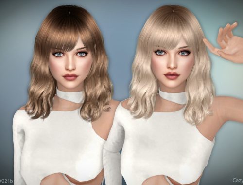 #221 - Female Hairstyles - Set