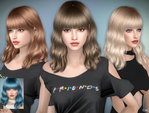 #221 - Female Hairstyles - Set