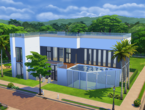 Modern Mansion