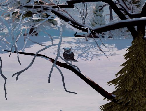 Wildtier Gehe | CC