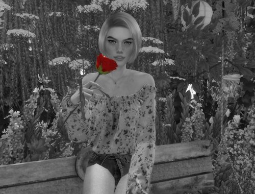 Sophie | CC