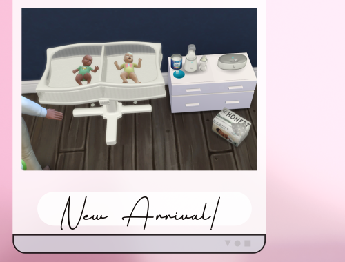 Twin Bassinet Set