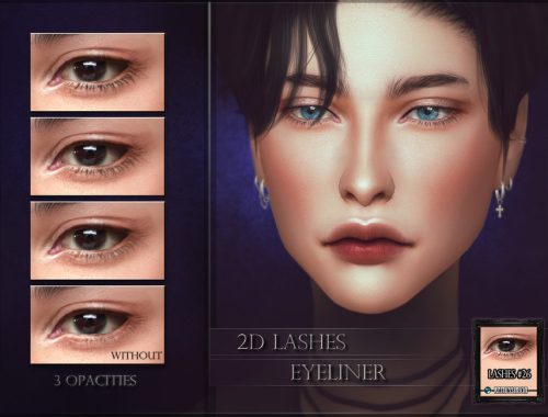 2D Lashes - Eyeliner #26 (all genders)