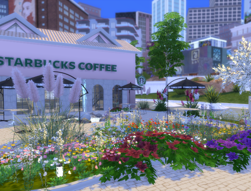 Starbucks Cafe | CC
