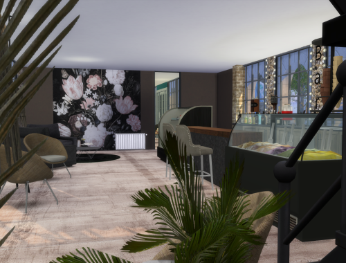 Starbucks Cafe | CC