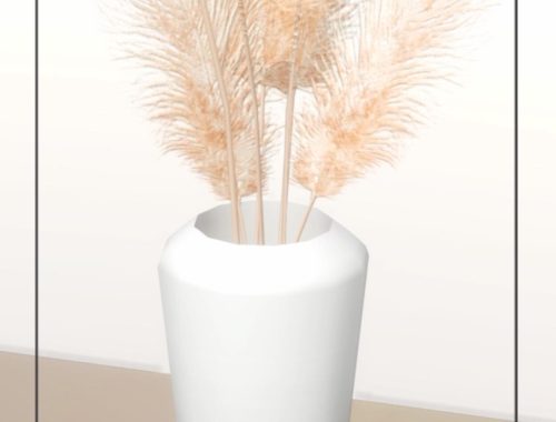 Decorative Plate's | CC