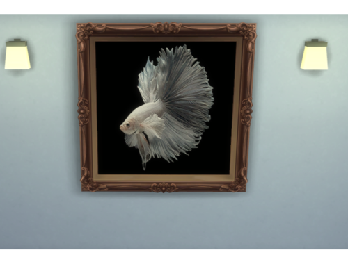 Painting Betta Fish
