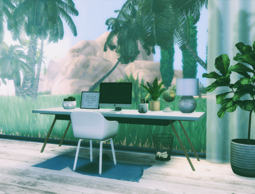 Palms Cube