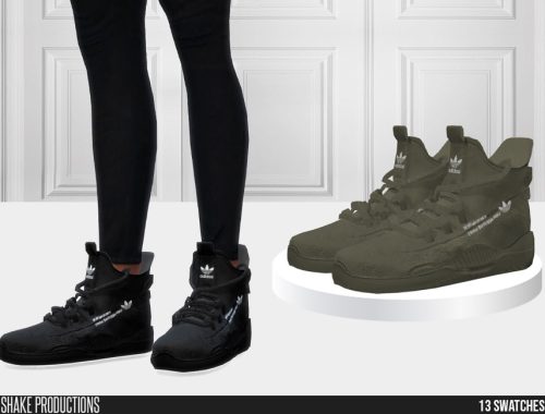860 - Sneakers (Male)
